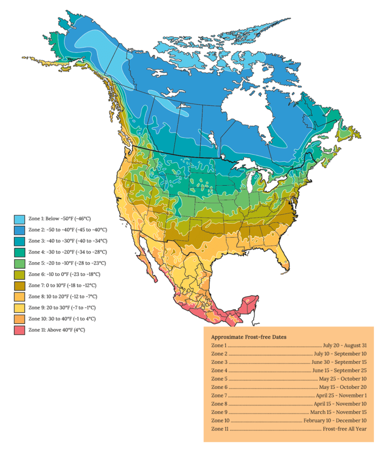 Plant zone. USDA Zones Plant Hardiness. Climate Map North America. Plant Hardiness Zone Map of United States. USDA зоны Канада.