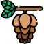 Glyph icon tree branch with cone, pinecone