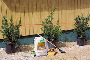 Three boxwood shrubs in nursery containers await planting along with starter fertilizer, garden compost, a shovel, and a trug of small hand tools. Copyright © 20002, 2019, 2020 Dolezal & Associates. All Rights Reserved.