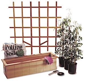The materials and plants required for planting a trough planter and attaching a wooden trellis during a demonstration on how to install plant supports for climbing and trailing flowering plants. Copyright ©2000 by Dolezal & Associates. All Rights Reserved.