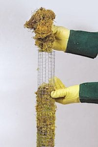 A gardener's gloved hands fills a column made of wire-cloth fabric with sphagnum moss during a demonstration on how to install a plant stake in a container for vertical flowering and foliage plants. Copyright ©2002 by Dolezal & Associates. All Rights Reserved.