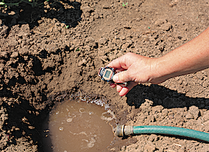 A gardener's hand holds a watch to time how fast water is absorbed by flower bed soil in a home landscape planting bed. Copyright ©1999 by Dolezal & Associates. All Rights Reserved.
